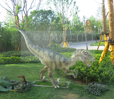机械仿真恐龙--3米迅猛龙